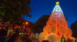 Navidad Cordillerana