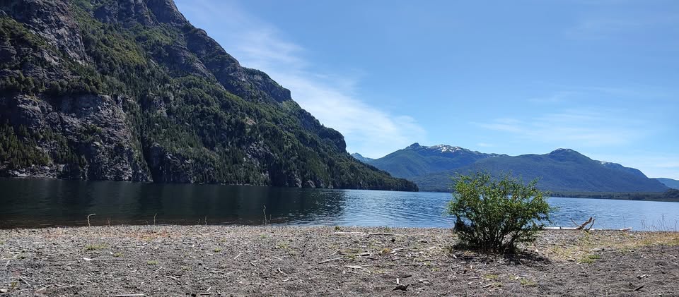 Imagen de un ícono con el dibujo de una carpa en color negro.