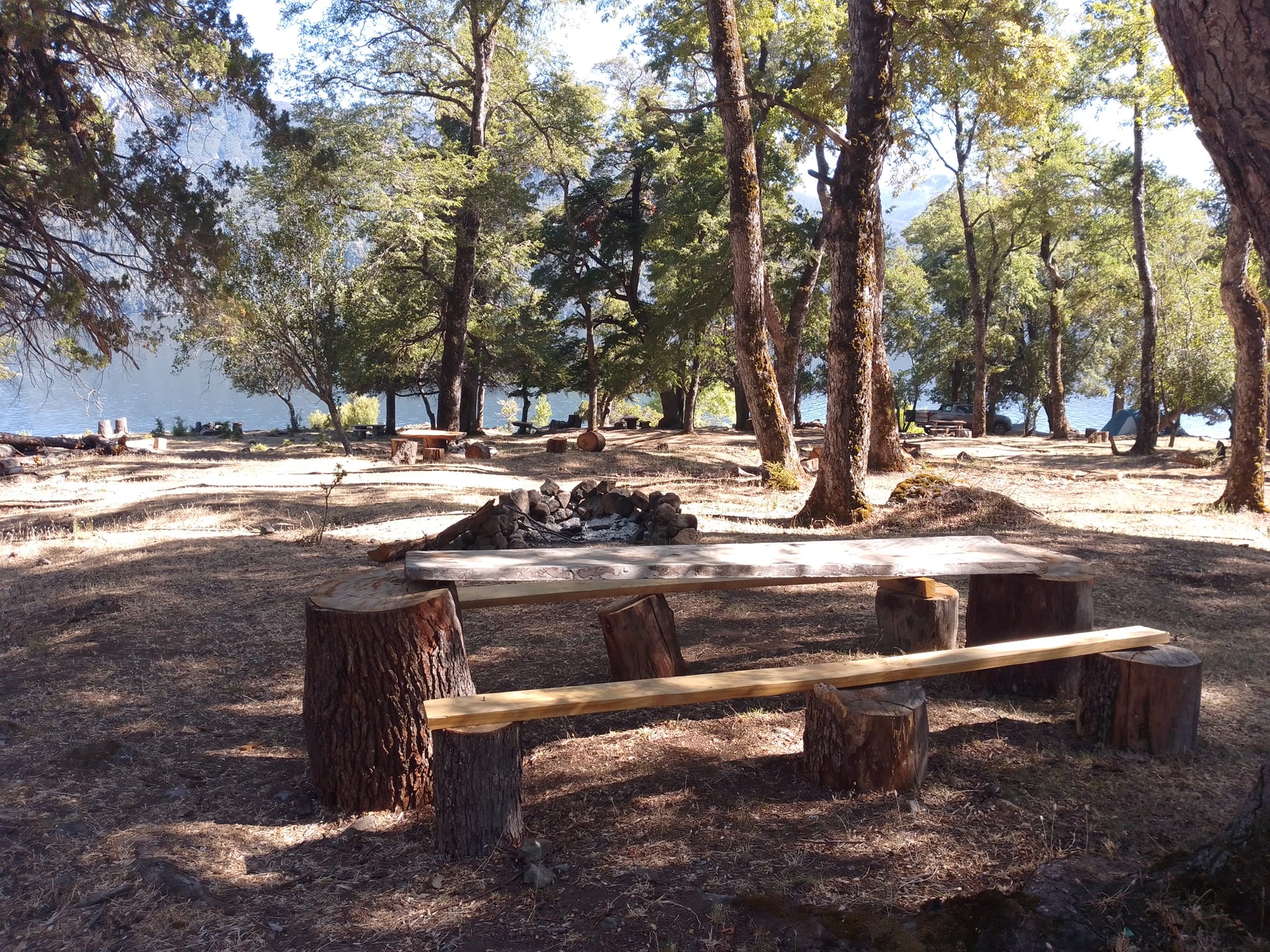 La imagen muestra una zona de pícnic o camping al aire libre, cerca de un lago que se puede ver en el fondo.
En primer plano hay una mesa de pícnic con un banco largo. Alrededor de la mesa hay algunos troncos que podrían usarse como asientos adicionales.
El área está rodeada por un bosque de árboles de tronco alto y delgado, que crean mucha sombra en el suelo. El follaje de los árboles es frondoso y el suelo está cubierto de hojas caídas y ramas.
La luz del sol se filtra a través de las copas de los árboles, creando un patrón de luces y sombras. El ambiente general parece tranquilo y natural.