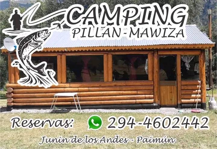 Imagen de un ícono con el dibujo de una carpa en color negro.