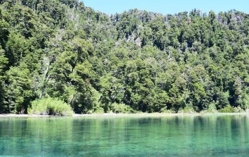 La imagen muestra una hermosa escena natural del lago de aguas cristalinas de color turquesa, flanqueado por un denso y frondoso bosque bajo un cielo soleado.