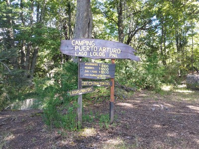 La imagen muestra un cartel de madera con el nombre del camping Puerto Arturo, el cartel se ve entre medio del bosque.