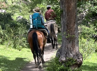 cabalgata